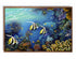mocha wood framed original painting great barrier reef angel fish wall art print